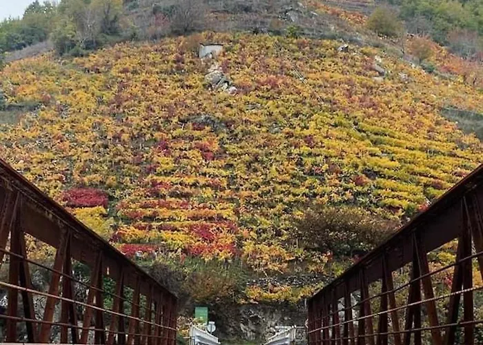 Casa Xacias Ribeira Sacra * A Airoa (Lugo)